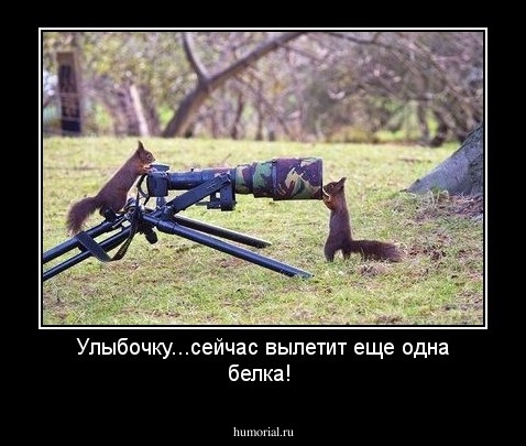 Улыбочку...сейчас вылетит еще одна белка!