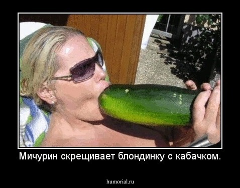 Мичурин скрещивает блондинку с кабачком.