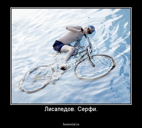 Лисапедов. Серфи.