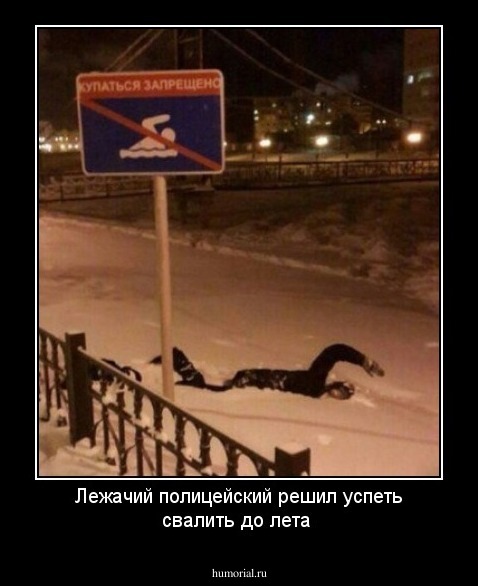 Лежачий полицейский решил успеть свалить до лета  