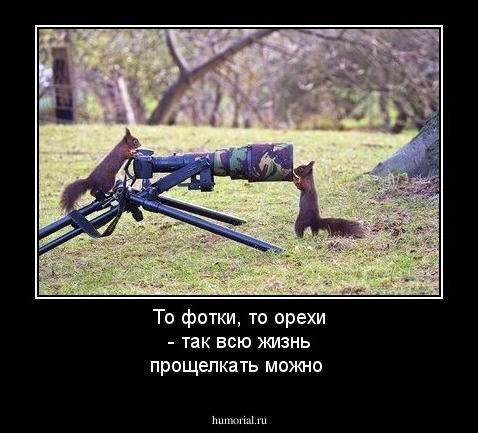 То фотки, то орехи - так всю жизнь прощелкать можно