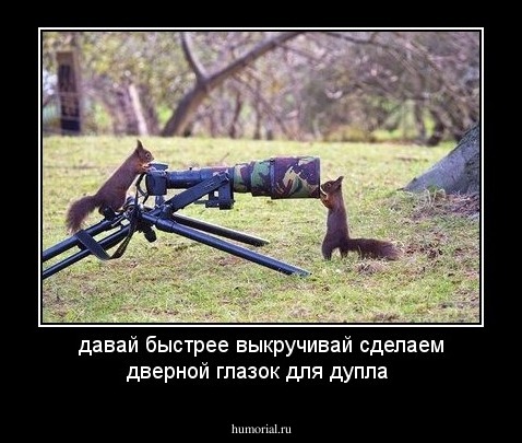 давай быстрее выкручивай сделаем дверной глазок для дупла 