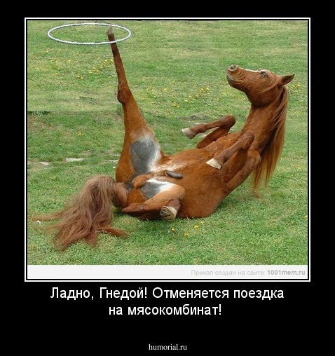 Ладно, Гнедой! Отменяется поездка на мясокомбинат! 