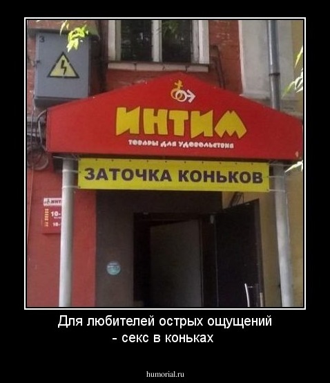 Для любителей острых ощущений - секс в коньках 