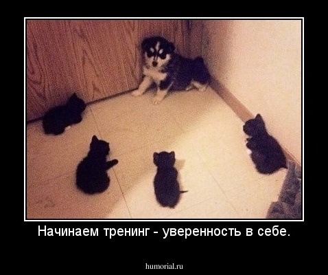 Начинаем тренинг - уверенность в себе.