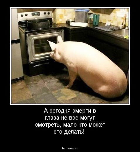 А сегодня смерти в глаза не все могут смотреть, мало кто может это делать!