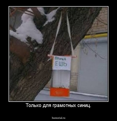 Только для грамотных синиц.