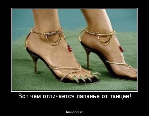 Вот чем отличается лапанье от танцев!