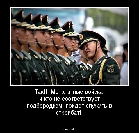Так!!! Мы элитные войска, и кто не соответствует подбородком, пойдёт служить в стройбат! 