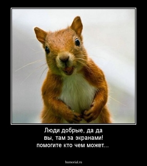 Люди добрые, да да вы, там за экранами! помогите кто чем может...