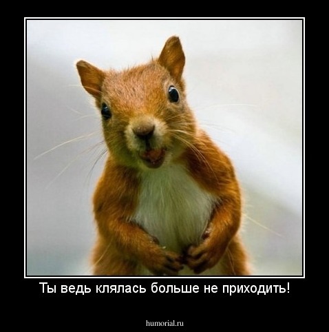 Ты ведь клялась больше не приходить!