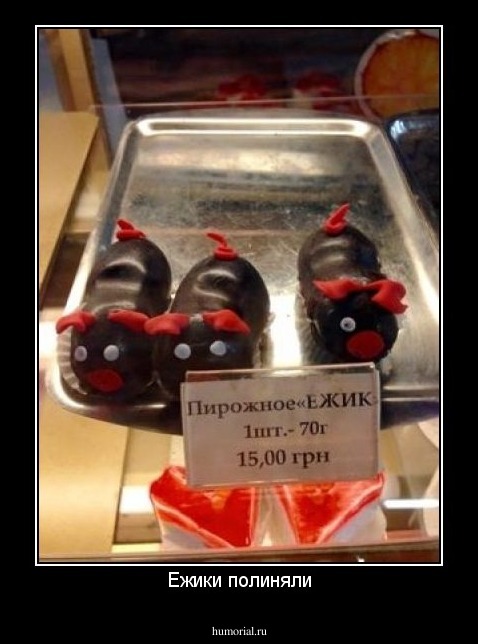 Ежики полиняли