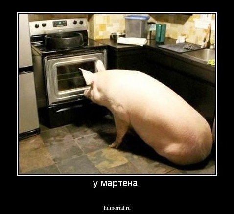 у мартена 