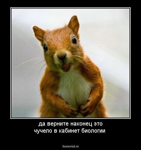 да верните наконец это чучело в кабинет биологии
