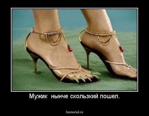 Мужик  нынче скользкий пошел.
