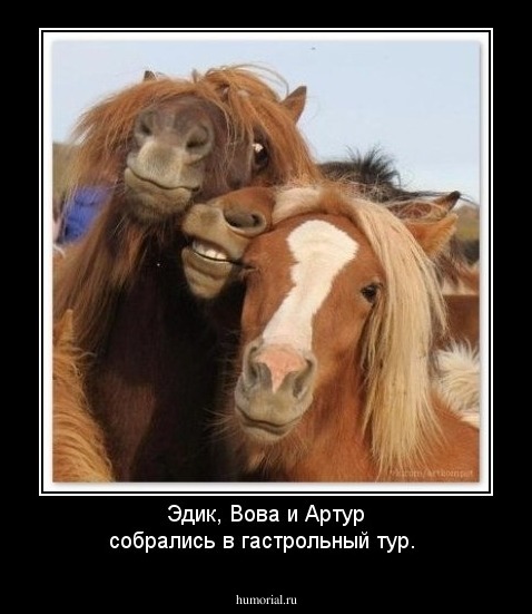 Эдик, Вова и Артур собрались в гастрольный тур.