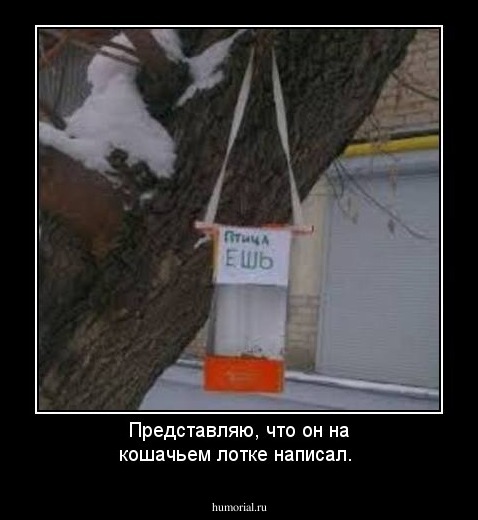 Представляю, что он  на кошачьем лотке написал.