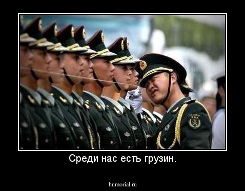 Среди нас есть грузин.