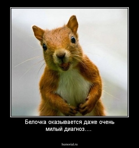 Белочка оказывается даже очень милый диагноз....