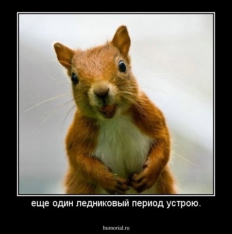 еще один ледниковый период устрою.