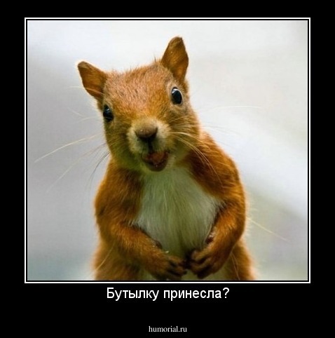 Бутылку принесла?