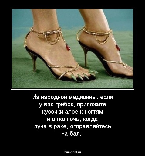 Из народной медицины: если у вас грибок, приложите кусочки алое к ногтям и в полночь, когда луна в раке, отправляйтесь на бал.