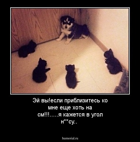 Эй вы!если приблизитесь ко мне еще хоть на см!!!.....я кажется в угол н**су..