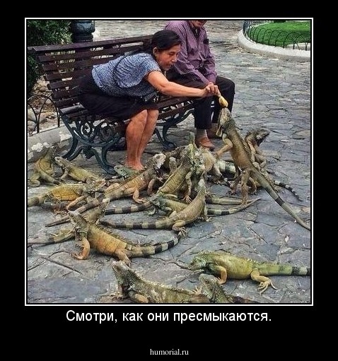 Смотри, как они пресмыкаются.