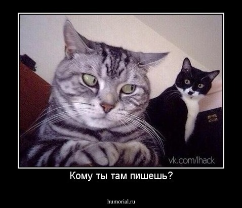Кому ты там пишешь?