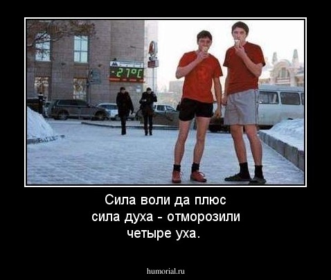 Сила воли да плюс сила духа - отморозили четыре уха.