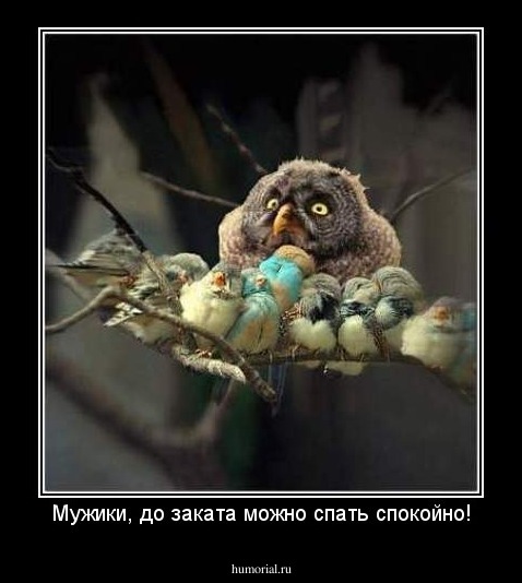 Мужики, до заката можно спать спокойно!