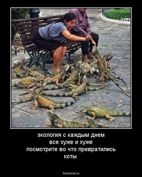 экология с каждым днем все хуже и хуже посмотрите во что превратились коты