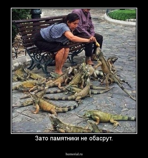 Зато памятники не обасрут.