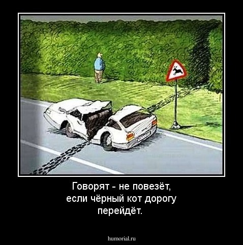 Говорят - не повезёт, если чёрный кот дорогу перейдёт.