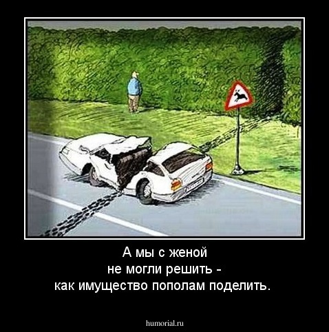 А мы с женой не могли решить - как имущество пополам поделить.