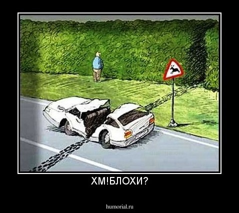 ХМ!БЛОХИ?