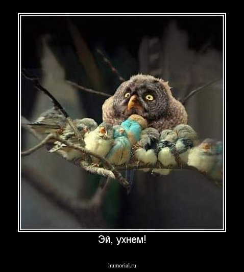 Эй, ухнем!