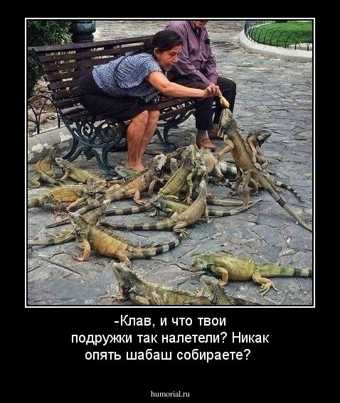 -Клав, и что  твои подружки так налетели? Никак опять шабаш собираете?