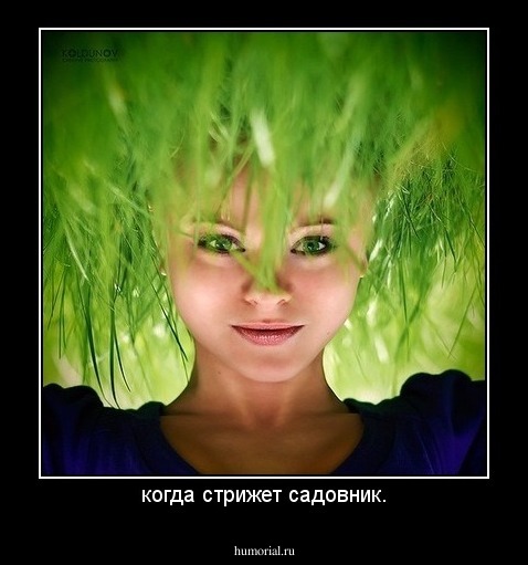 когда стрижет садовник.