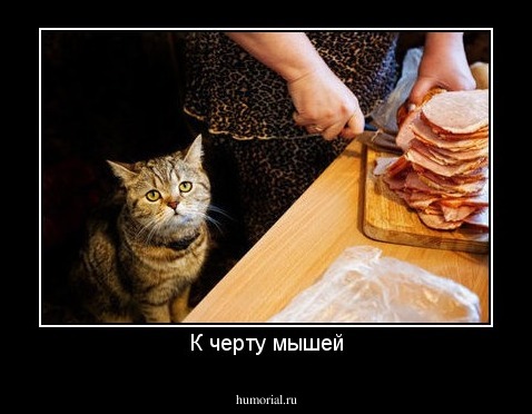 К черту мышей