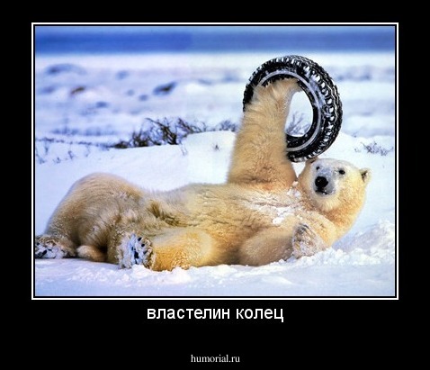 властелин колец