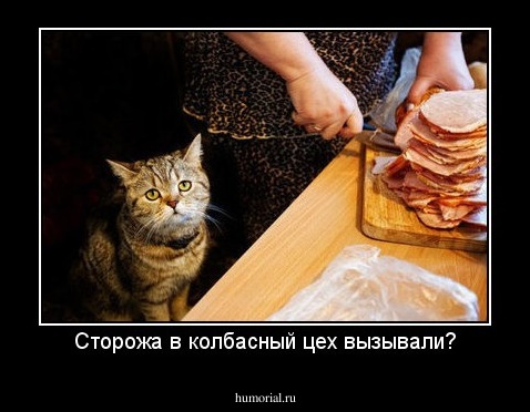 Сторожа в колбасный цех вызывали?