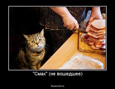 "Смак" (не вошедшее)