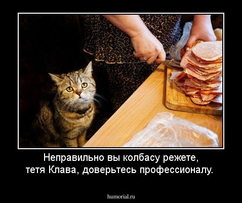 Неправильно вы колбасу режете, тетя Клава,  доверьтесь профессионалу.