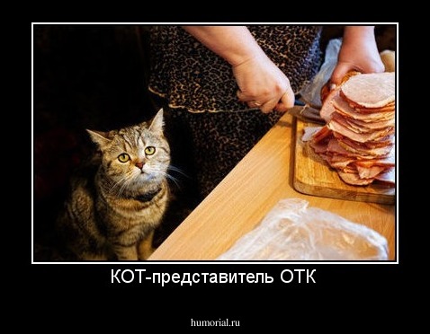 КОТ-представитель ОТК 