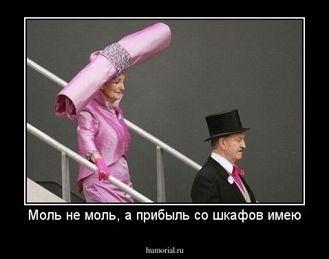 Моль не моль, а прибыль со шкафов имею