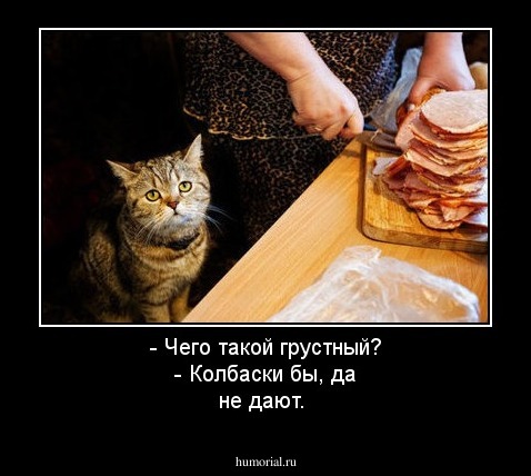  - Чего такой грустный?
 - Колбаски бы, да не дают.