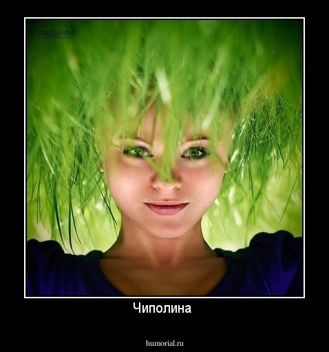Чиполина 