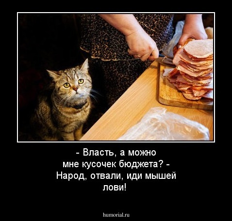 - Власть, а можно мне кусочек бюджета? 
- Народ, отвали, иди мышей лови!