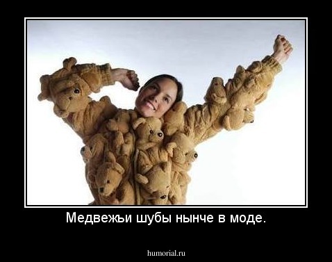 Медвежьи шубы нынче в моде.
